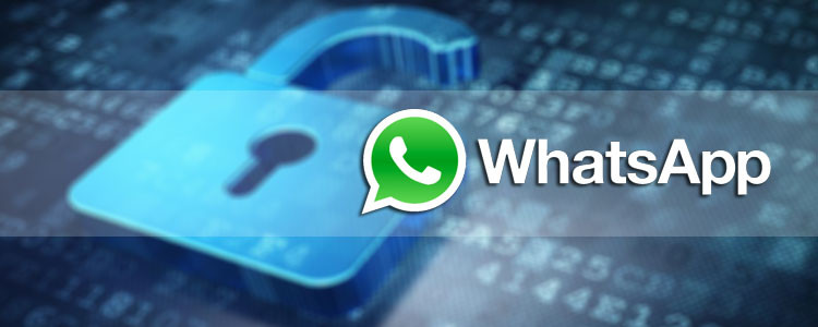 best whatsapp hack app