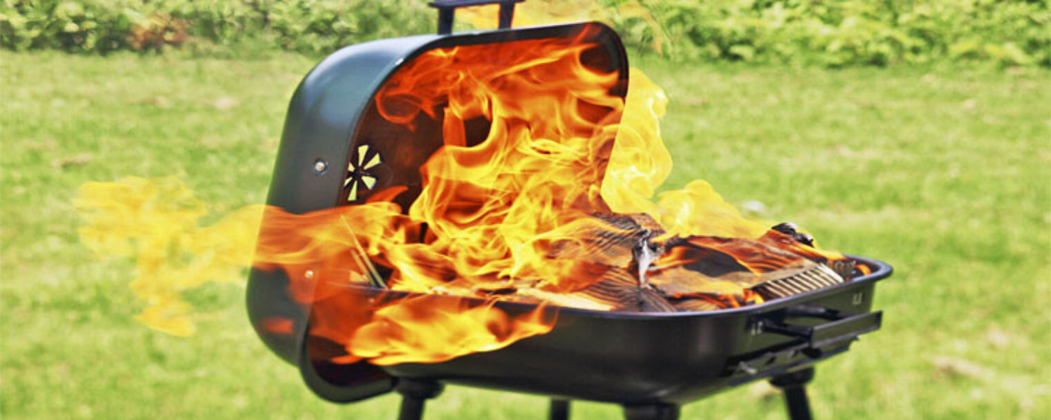 Best 4 Portable Grills (Propane/Gas/Charcoal/Electric) TechaLook