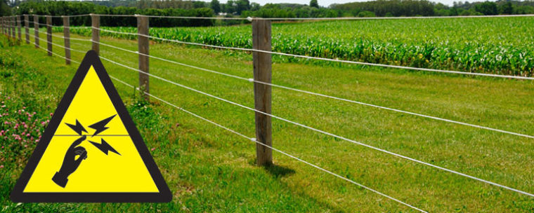 Best 3 Electric Fence Chargers Reviews & Comparison