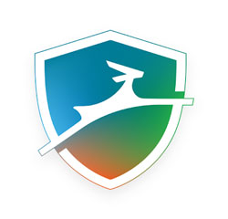 dashlane business vs 1password teams