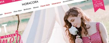Noracora Review