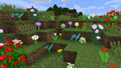 How to Grow Flowers in Minecraft