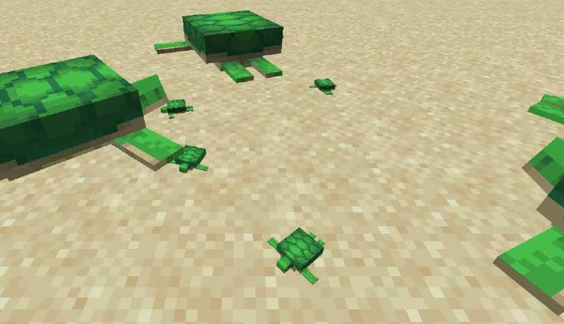 How To Hatch Turtle Eggs In Minecraft Techalook