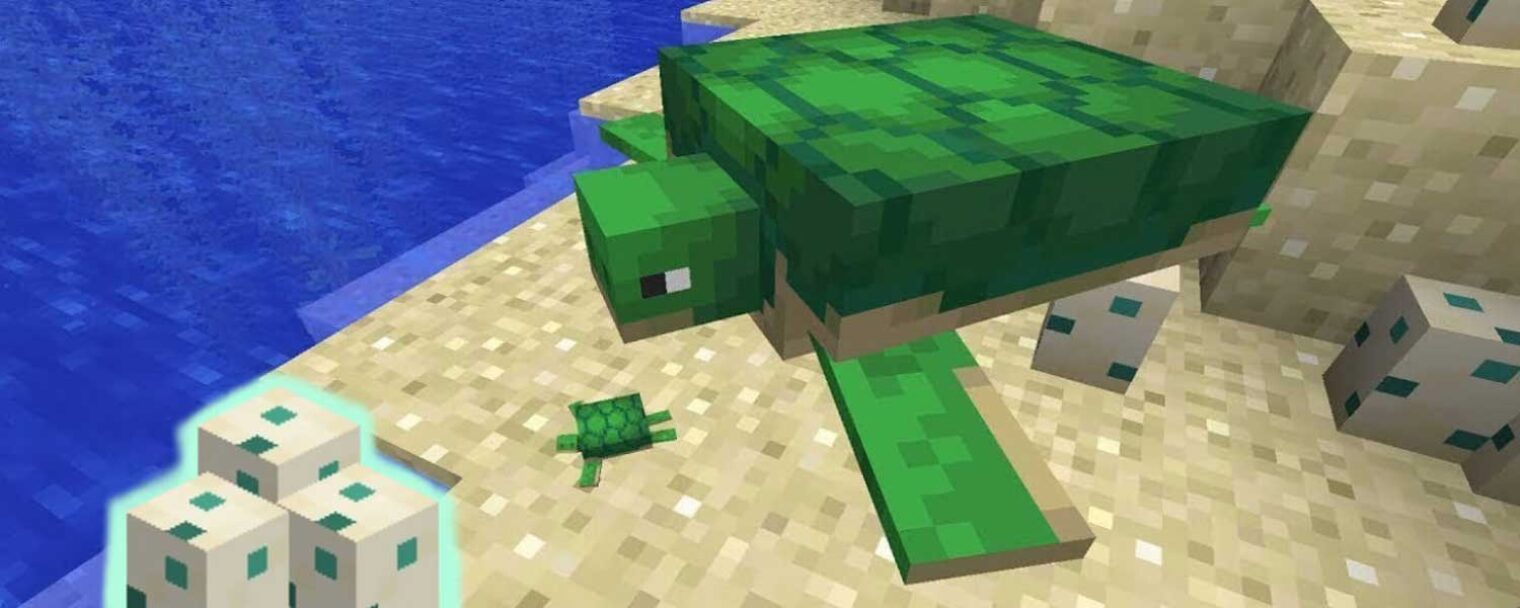 How To Hatch Turtle Eggs In Minecraft Techalook