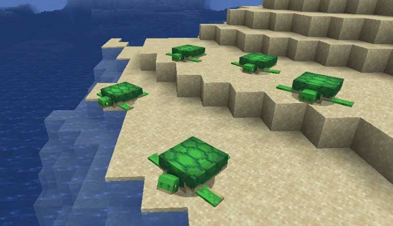 How To Hatch Turtle Eggs In Minecraft Techalook