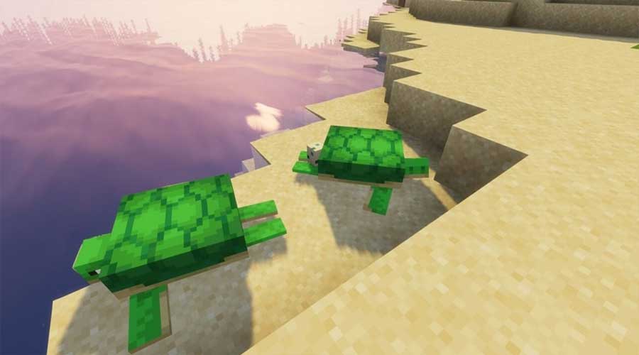 How To Hatch Turtle Eggs In Minecraft Techalook