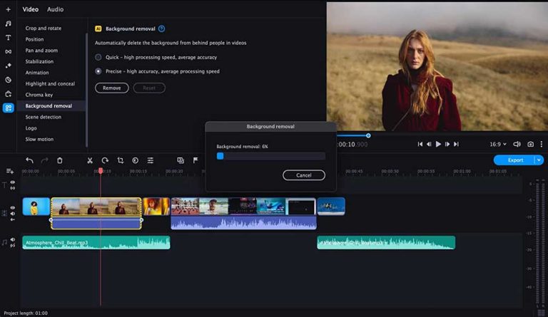 Movavi Video Editor Plus 2023 Review | TechaLook